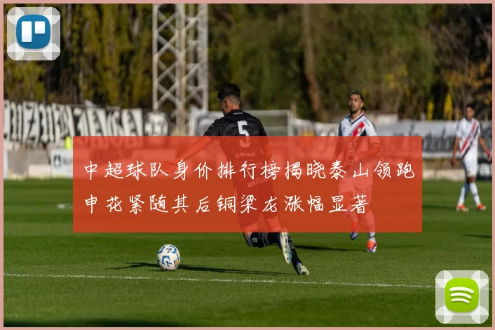 中超球队身价排行榜揭晓泰山领跑申花紧随其后铜梁龙涨幅显著