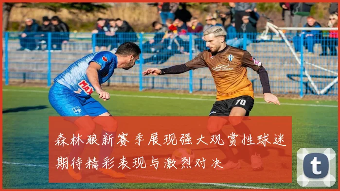 森林狼新赛季展现强大观赏性球迷期待精彩表现与激烈对决