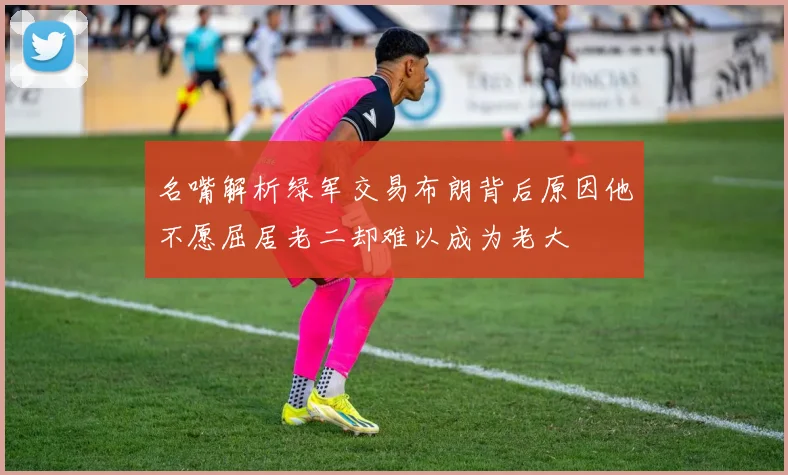 名嘴解析绿军交易布朗背后原因他不愿屈居老二却难以成为老大