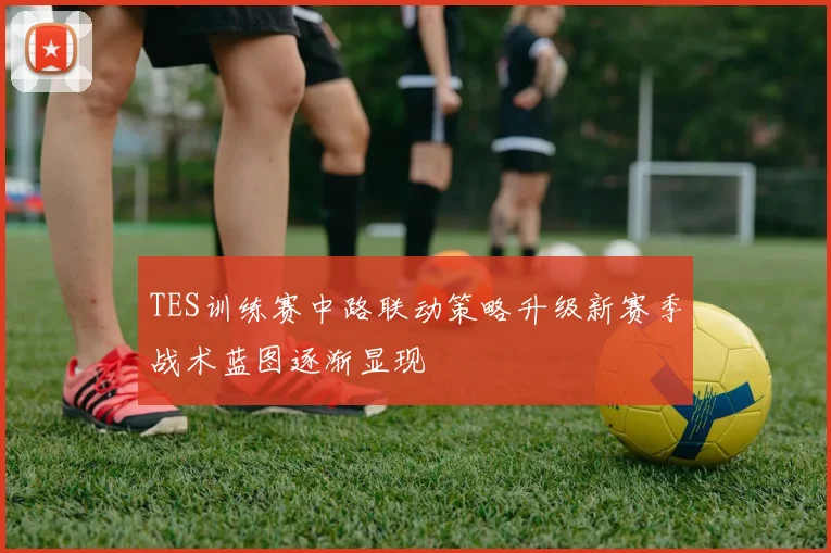 TES训练赛中路联动策略升级新赛季战术蓝图逐渐显现